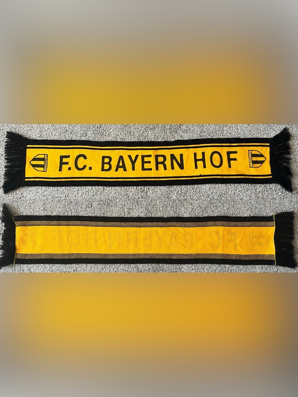 FC Bayern HOF Germany Soccer Scarf
